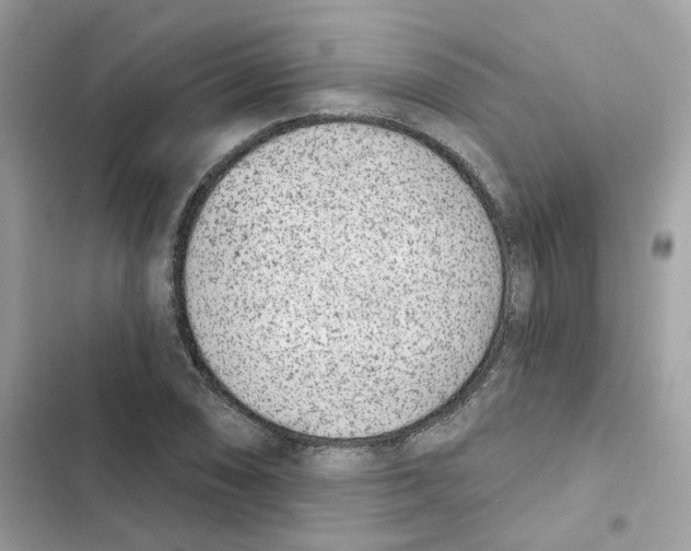 X0000102001074200808151441