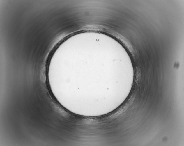 X0000102001075200808151441