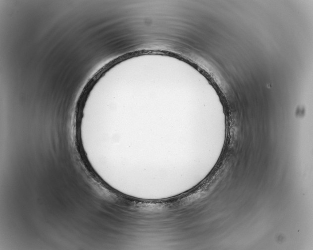 X0000102001076200808151441