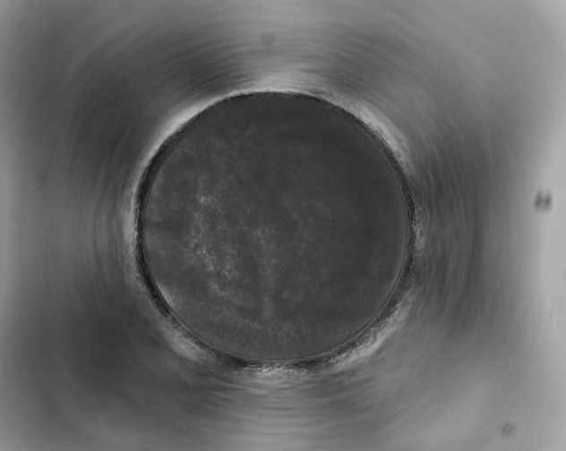 X0000102001077200808151441