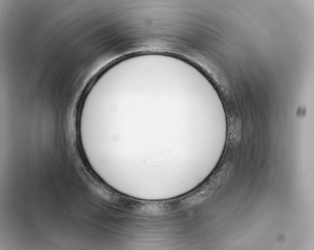 X0000102001078200808151441