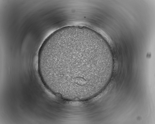 X0000102001079200808151441