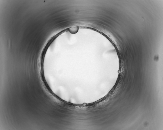 X0000102001080200808151441