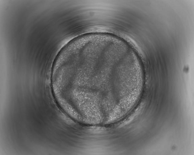 X0000102001081200808151441