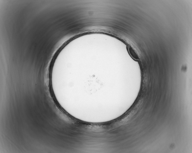 X0000102001082200808151441