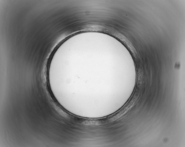 X0000102001083200808151441