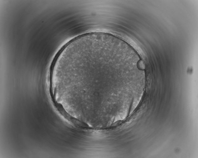 X0000102001084200808151441