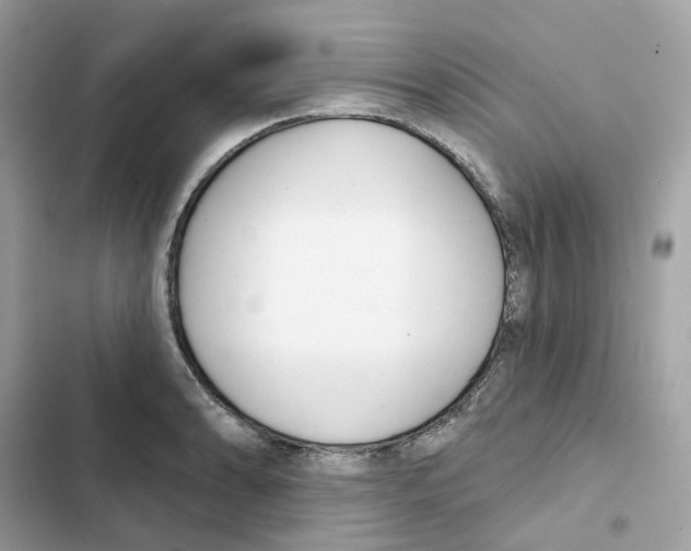 X0000102001086200808151441