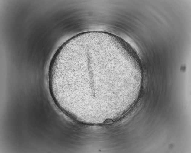 X0000102001088200808151441