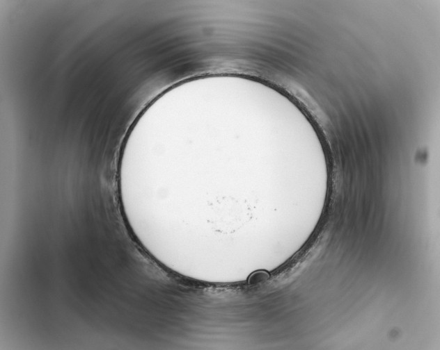 X0000102001089200808151441