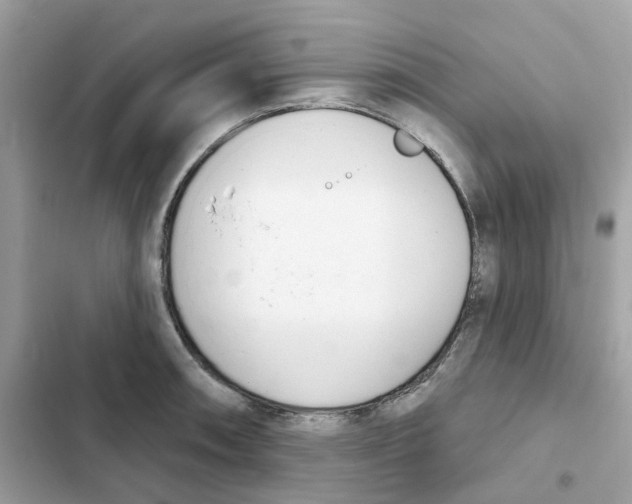 X0000102001090200808151441