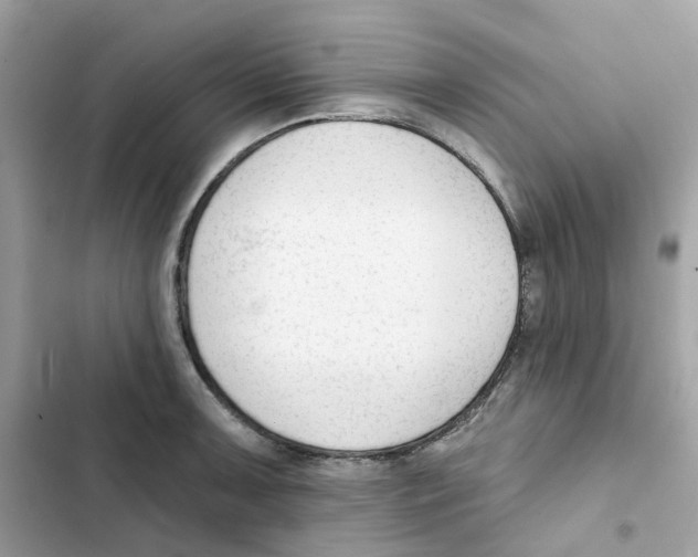 X0000102001091200808151441