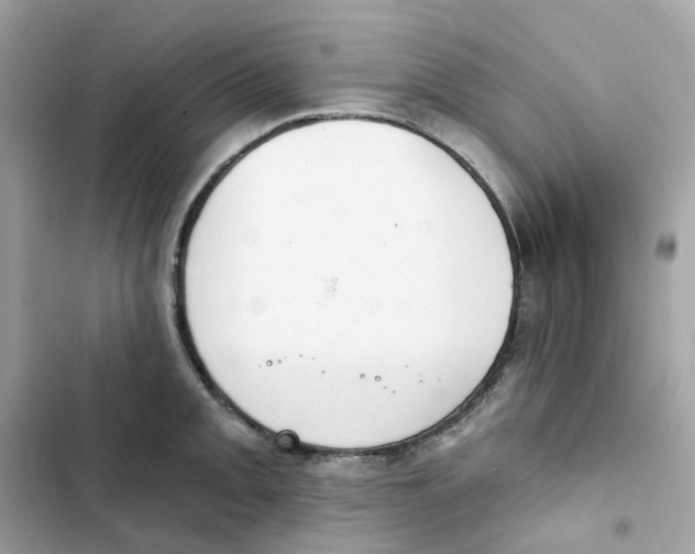 X0000102001093200808151441