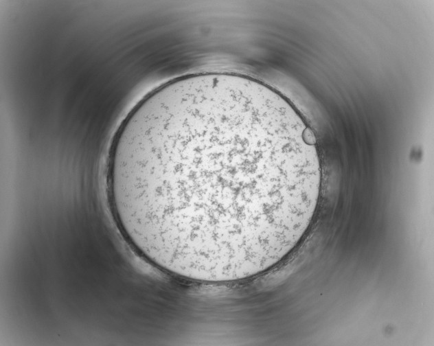 X0000102001094200808151441