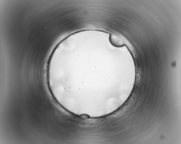 X0000102001096200808151441