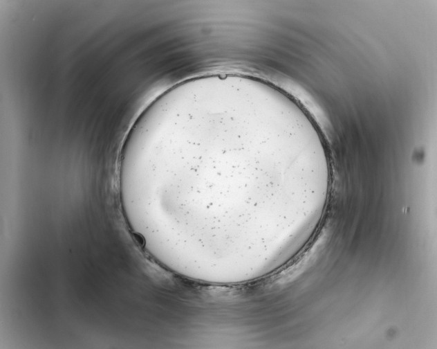 X0000102001097200808151441