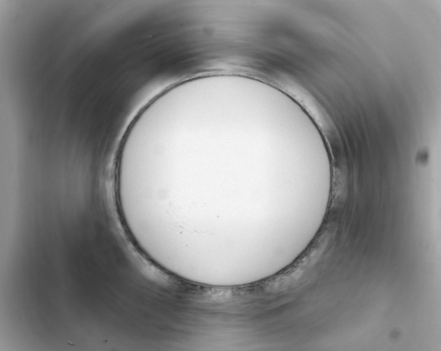 X0000102001098200808151441