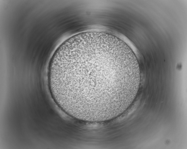 X0000102001099200808151441