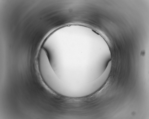 X0000102001100200808151441