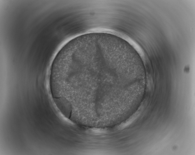 X0000102001102200808151441