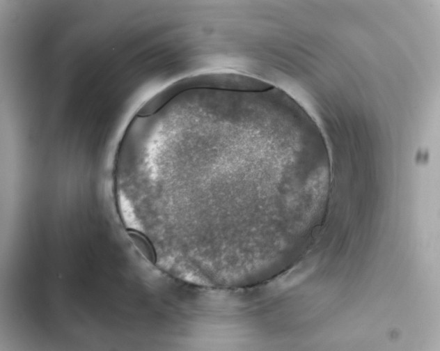 X0000102001104200808151441