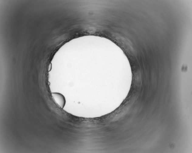 X0000102001105200808151440