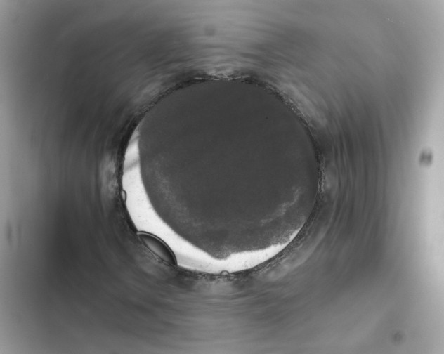 X0000102001106200808151440