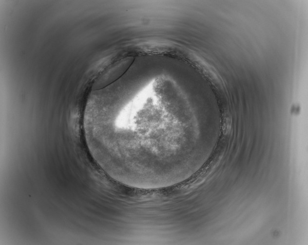 X0000102001108200808151440