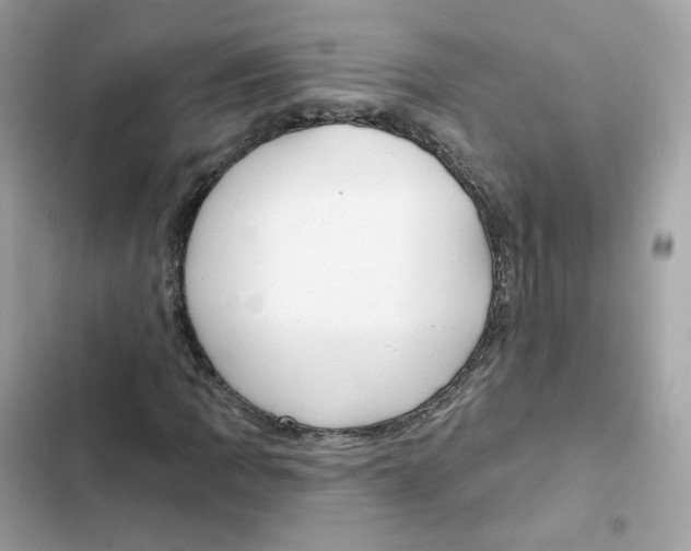 X0000102001109200808151440