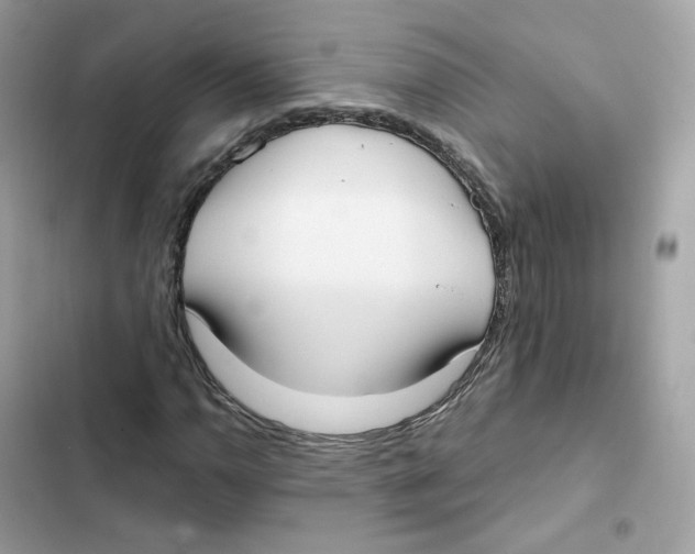 X0000102001110200808151440