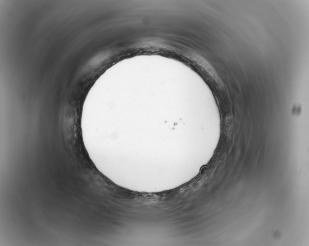 X0000102001111200808151440