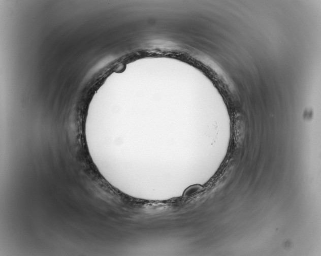 X0000102001112200808151440