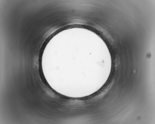 X0000102001113200808151440