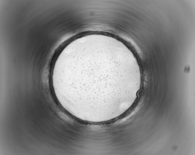 X0000102001114200808151441