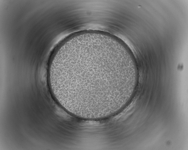 X0000102001115200808151441