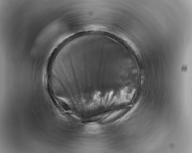 X0000102001117200808151441