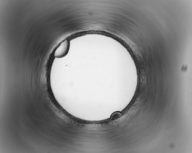 X0000102001118200808151441