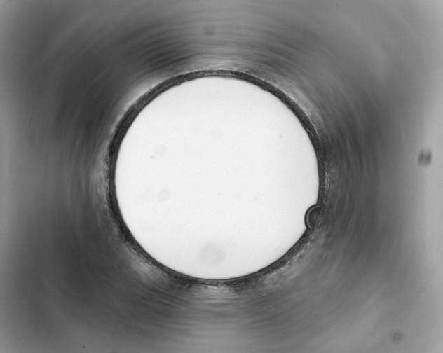 X0000102001119200808151441