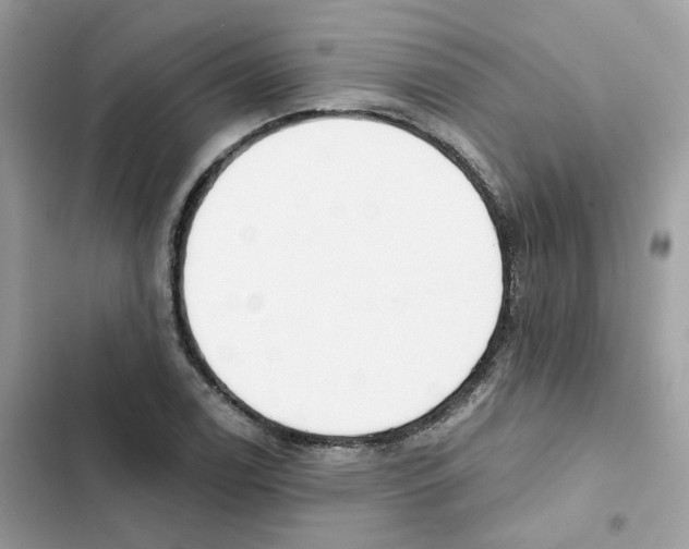 X0000102001122200808151441