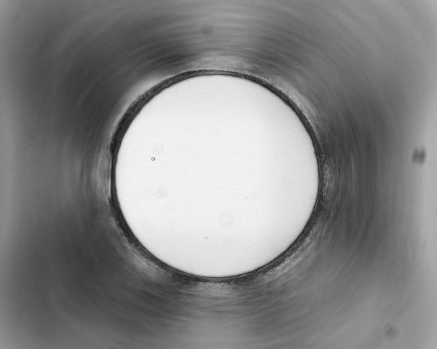 X0000102001123200808151441