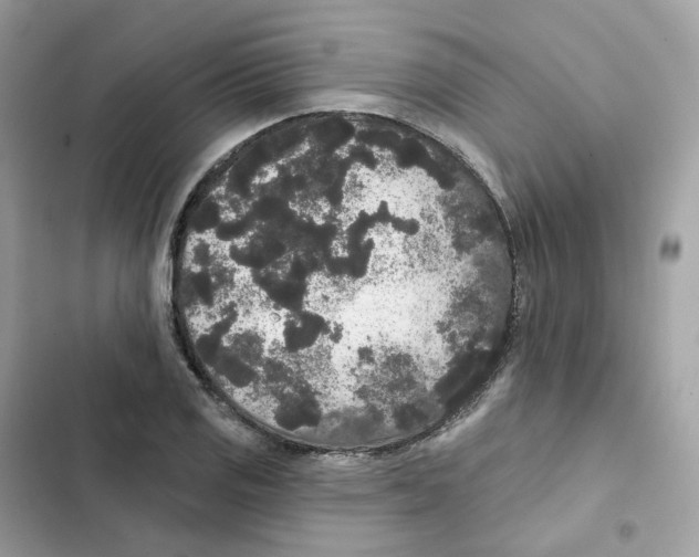 X0000102001125200808151441