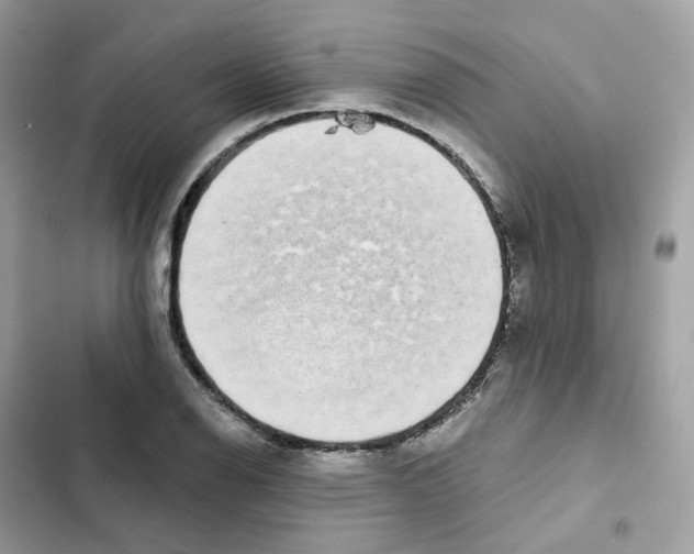 X0000102001126200808151441