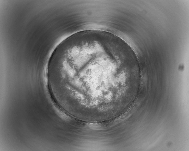 X0000102001128200808151441