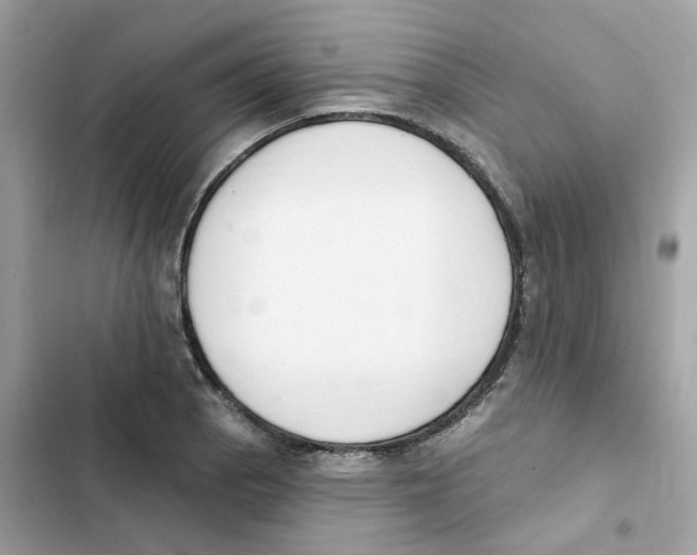 X0000102001129200808151441