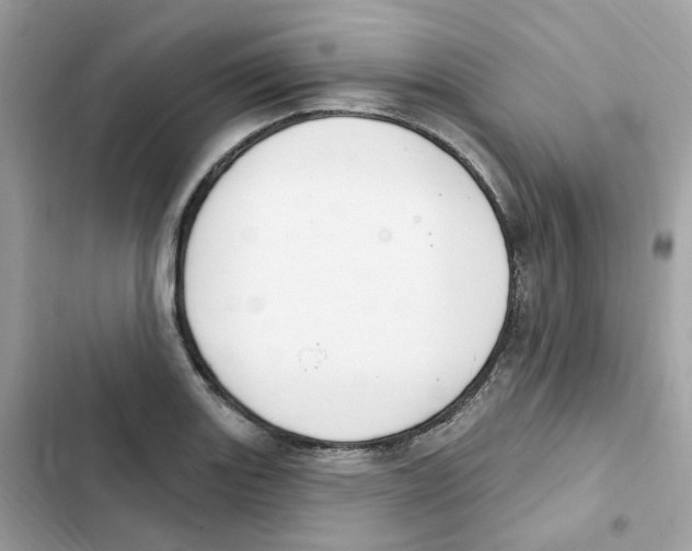 X0000102001131200808151441