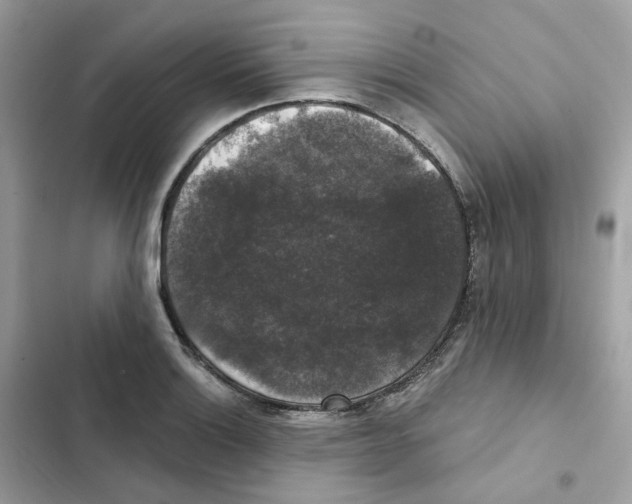 X0000102001132200808151441