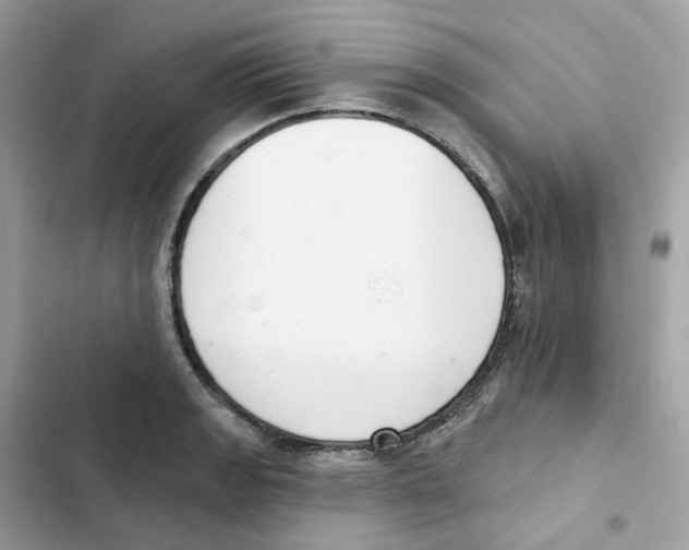 X0000102001133200808151441