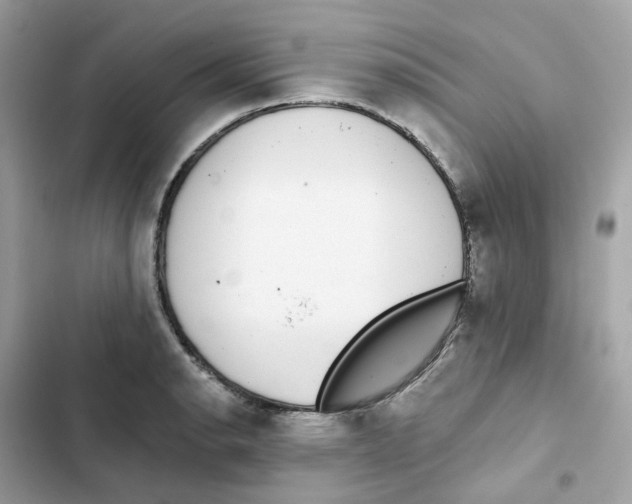 X0000102001134200808151441