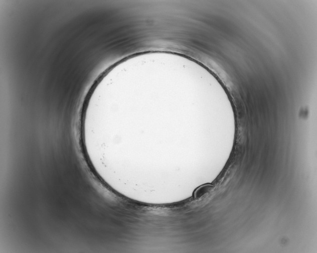 X0000102001136200808151441