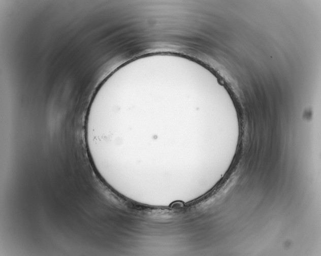 X0000102001137200808151441